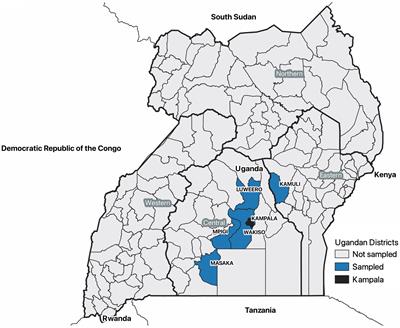 The live pig supply chain as reported by farmers in selected districts affected by African swine fever in Uganda, June and July 2022